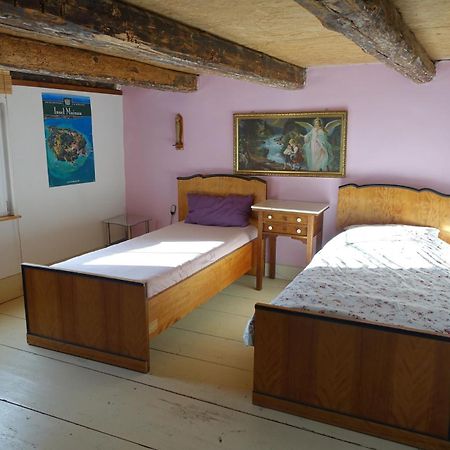 Ferienwohnung Fink 텐겐 외부 사진